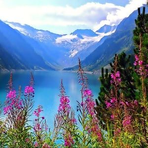 Meet your Posher, Nia